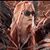 Margaret Burcroff Westerson's profile image