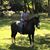 Leatha Matlock Fox's profile image