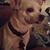 Yolanda Paez Parsons's profile image