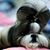 Yvette Endres Bryant's profile image