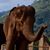 Sally Hardy's profile image