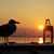 Dawn Brockman's profile image