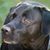 Robert Fitzpatrick's profile image