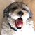 Elizabeth Stabenow-Roberts's profile image