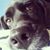 Basilio Lopez's profile image