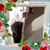 Tammy Sorenson's profile image