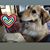 Lisa Sherer's profile image
