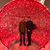 Sulman M. Hafeez Adam's profile image