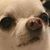 Lee Fitzgerald's profile image
