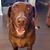 Wendy Gibson Siler's profile image