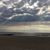 Carol Kurtz-Powell's profile image