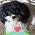 Pamela Hamilton's profile image