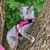 Marilyn Baldwin's profile image
