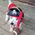 Sherry Swint's profile image