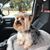 Patti Williams's profile image