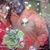 Roz Hicks's profile image