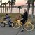 Sherrie Welch's profile image