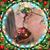 Bonnie Wiltse DeRosia's profile image