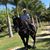 Daniel Castanon-Angulo's profile image