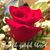 Roselyn Thompson's profile image
