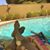 Ann Andrews-Smith's profile image