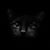 Holly Gibbs's profile image