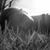 Teri Jean Glick's profile image