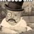 Patrick Whitehead's profile image