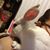Andrea Gonzalez's profile image
