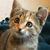 Linda Wylie Gill's profile image