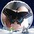 Brian Fell Peck's profile image