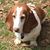 Peggy Owens Gettys's profile image
