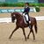 Kristy Doty's profile image