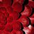 Michelle L. Brunetta's profile image