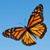 Betty Collins's profile image
