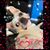 Angela Mazzola-Burleigh's profile image