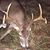 Christopher Kelley's profile image