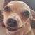 Neil P Cyrus's profile image