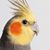 Berny Conley's profile image