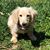 Cheryl Tuschhoff's profile image