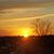 Cathy Bullington's profile image