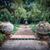 Sheila Elizabeth McCuiston's profile image