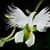 Trisha Daly's profile image