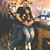 Alma Lopez Jimenez's profile image