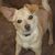 Christina Ann McLinn Ford's profile image
