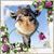 Sandra Lopez's profile image
