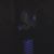 Francie Duffy's profile image