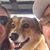 Marvin Or Becky Fox's profile image