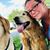 Cheryl Hansell Bernstiel's profile image