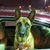 Gordon Vella's profile image